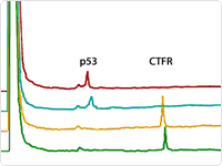 showcase.par.40902.image.0.0.1 Arcturus® PicoPure® DNA Extraction Kit