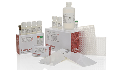 Invitrogen Immune Response 80-Plex Human QuantiGene Plex Panel Product image of Invitrogen Immune Response 80-Plex Human QuantiGene Plex Panel