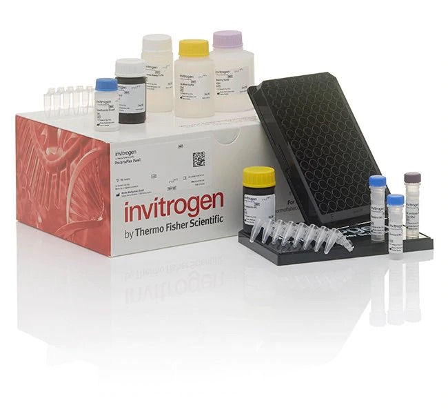 ProcartaPlex multiplex assays ProcartaPlex multiplex Immunoassays kit components