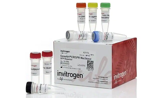 GeneArt CRISPR Nuclease Vector with OFP Reporter Kit Image of product box and tubes for the GeneArt CRISPR Nuclease Vector with Orange Fluorescent Protein Reporter Kit