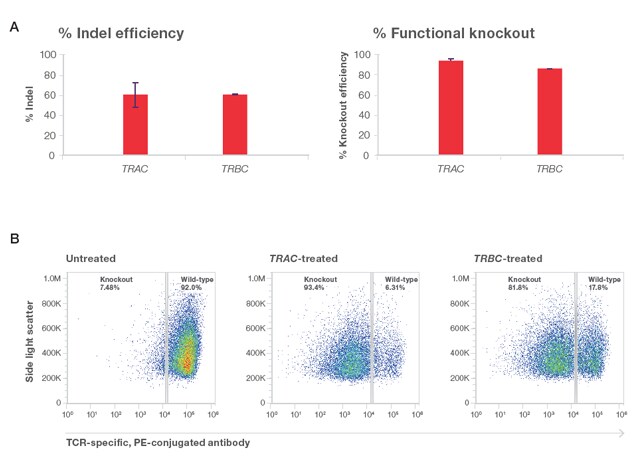 Graphs of T cell receptor knockout Multiple graphs showing gene knockout efficiency in T cells transfected with TrueCut Cas9 Protein v2 and TrueGuide gRNA for two genes