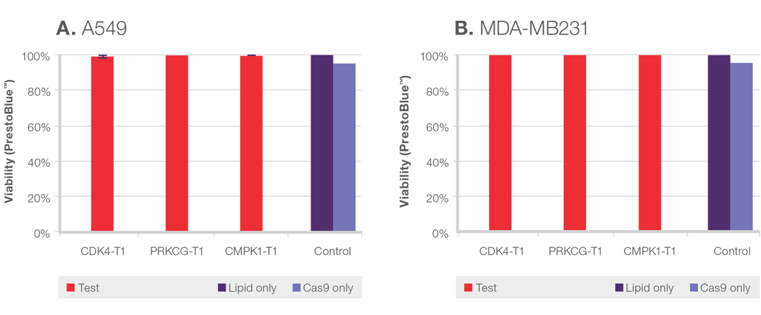 Two bar graphs showing cell viability when using TrueGuide Synthetic gRNAs Two bar graphs showing high viability of cells transfected with TrueGuide Synthetic gRNAs