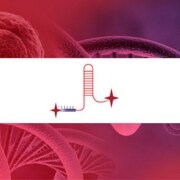 TrueGuide gRNAs decorative image