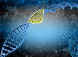 CRISPR solution CRISPR solution