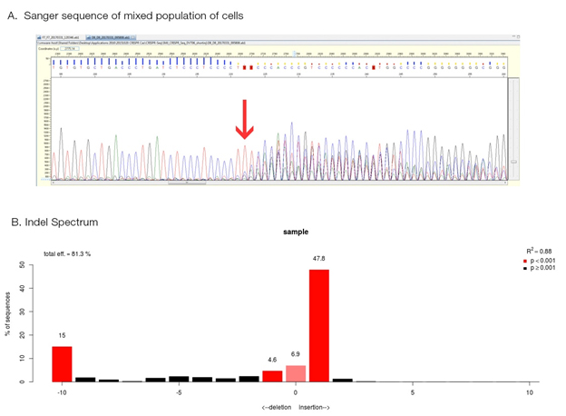 Determining CRISPR editing efficiency with Sanger sequencing : Sanger sequencing data trace coupled with bar chart of the indel spectrum used to determine CRISPR editing efficiency