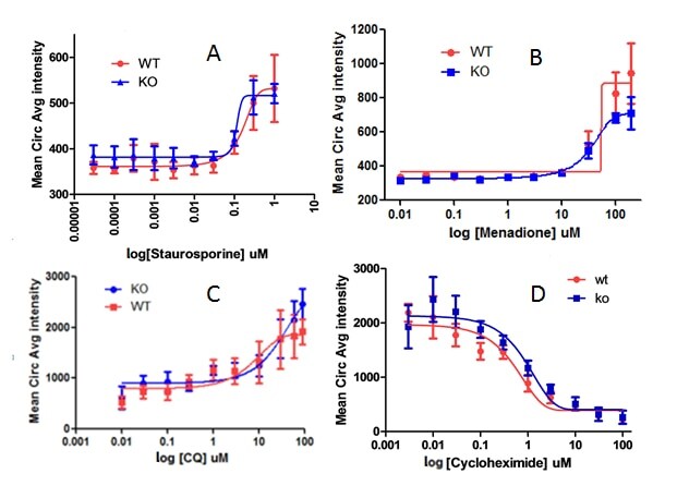 Off targets effects are analysis using HCS in CRISPR validation Four dose-response graphs of cell fluorescence intensity vs drug concentration to measure cell apoptosis, oxidative stress, protein degradation, and protein synthesis.