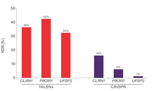 Comparison of HDR efficiency for TALENs and CRISPR Bar graph showings that TALENs exhibit higher HDR efficiency than CRISPR for a single SNP in three genes