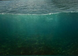 dissolved solids dissolved solids