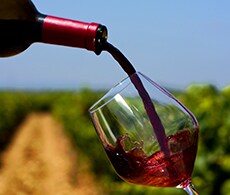 Measuring dissolved oxygen in wine Measuring dissolved oxygen in wine
