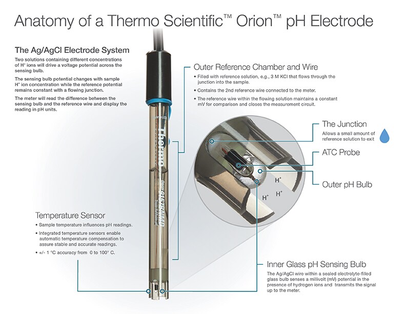 anatomy of an electrode anatomy of an electrode