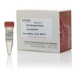Sequencing primers M13 reverse primer sequencing primers product photo