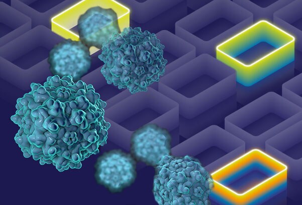 Cell & gene therapy development solutions Cell & gene therapy development solutions