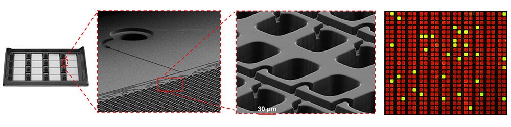 AbsoluteQ-Workflow-Graphic AbsoluteQ-Workflow-Graphic