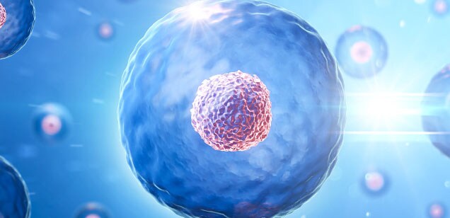Cell and gene therapy development Cell and gene therapy development