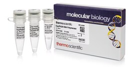 EquiPhi29 DNA Polymerase A65393 EquiPhi29 DNA Polymerase A65393