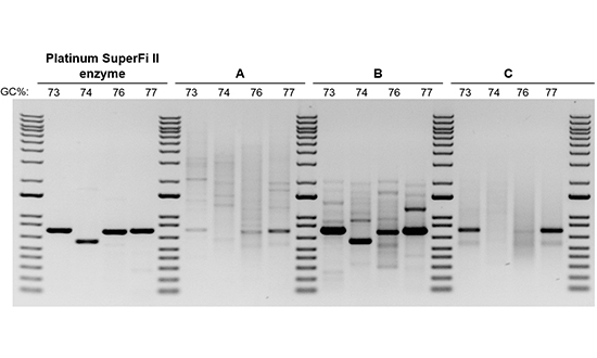 Comparison of various DNA polymerases in amplifying GC-rich targets Composite of four gel images; each gel has four lanes