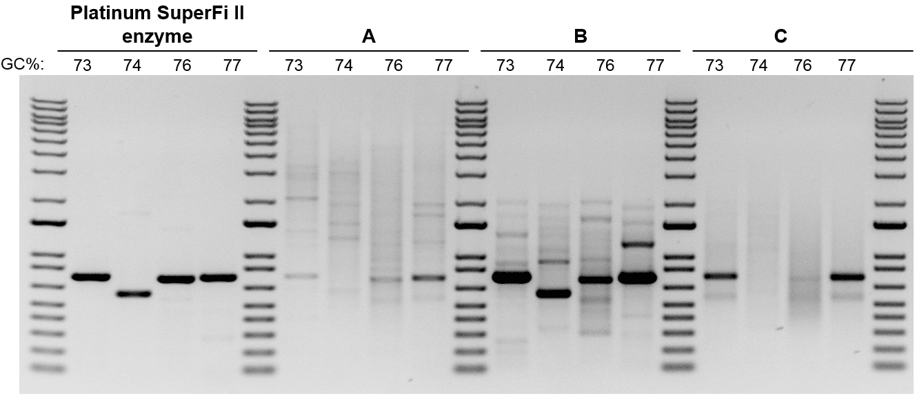 Comparison of various DNA polymerases in amplifying GC-rich targets Composite of four gel images; each gel has four lanes
