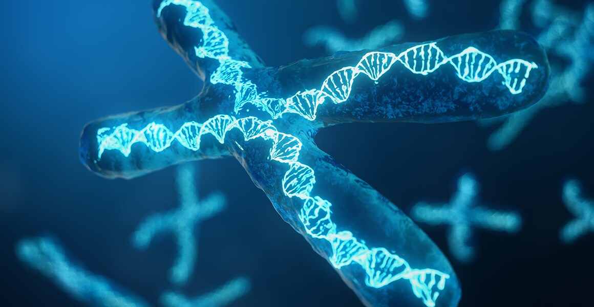 Genetic variation analysis Genetic variation analysis