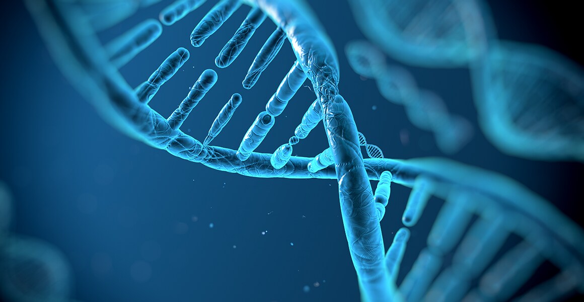 Gene expression (mRNA) analysis Gene expression (mRNA) analysis