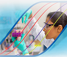 TaqMan Advanced miRNA Assays TaqMan Advanced miRNA Assays