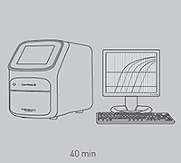 Applied Biosystems real-time PCR instruments Applied Biosystems real-time PCR instruments