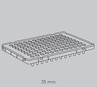 TaqMan Advanced miRNA cDNA Synthesis Kit TaqMan Advanced miRNA cDNA Synthesis Kit