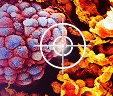TaqMan Mutation Detection Assays TaqMan Mutation Detection Assays