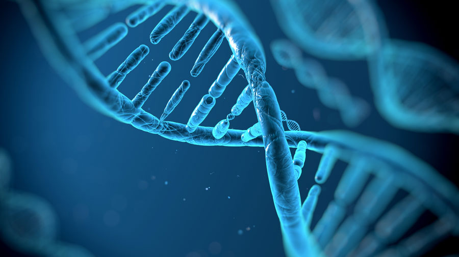 Introduction to gene expression analysis decorative
