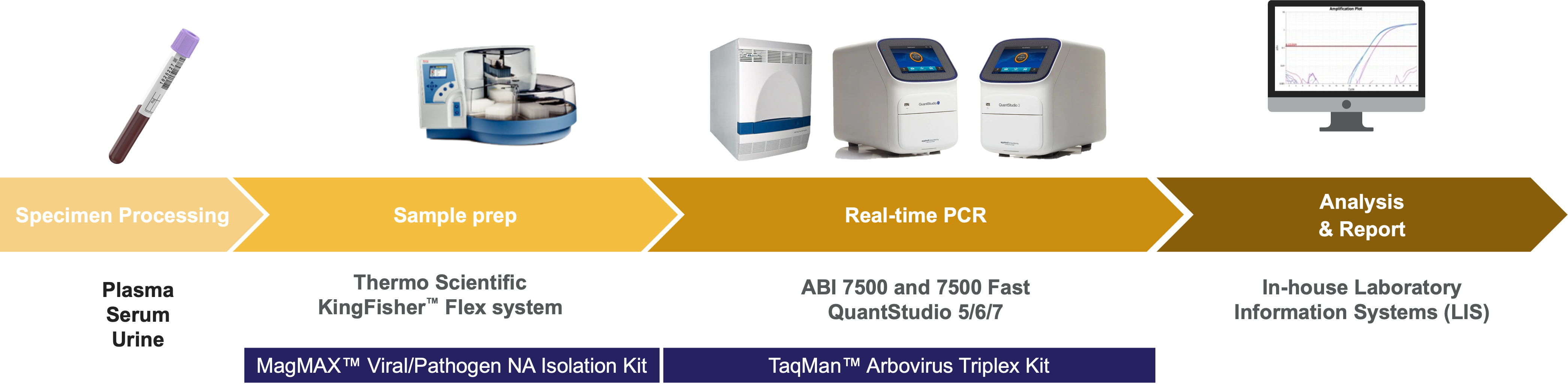 ArborovirusWorkflow ArborovirusWorkflow