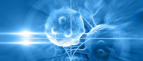 Immuno-oncology_shutterstock_239255980 Immuno-oncology_shutterstock_239255980
