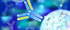 Immunology_110068852_s Immunology_110068852_s