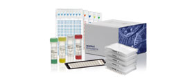 COL18058-Taqman-Assays COL18058-Taqman-Assays