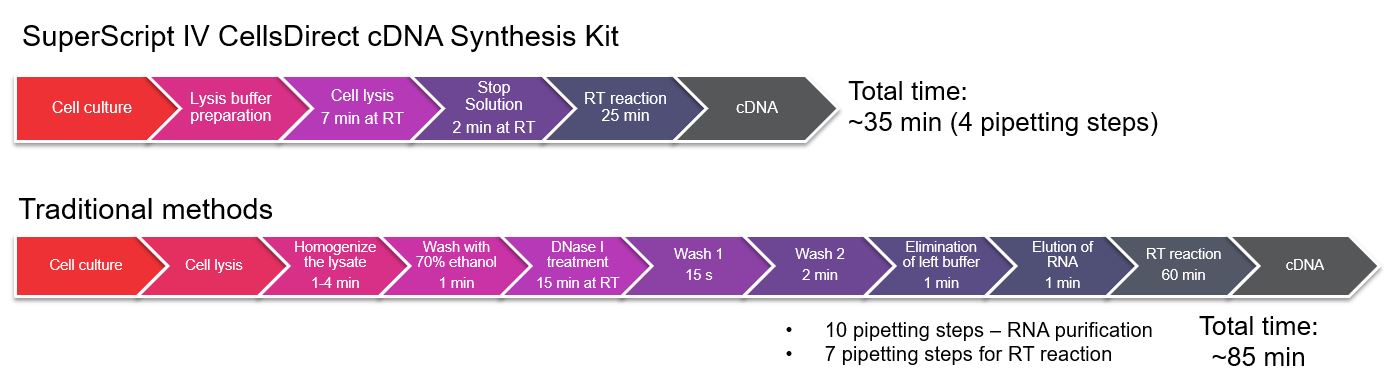 Workflow comparison of traditional cDNA synthesis method vs using SuperScript IV CellsDirect cDNA synthesis kit Workflow schematics show significant time gains, of approximately 50 minutes, using SuperScript IV CellsDirect cDNA synthesis kit when compared to traditional cDNA synthesis methods.