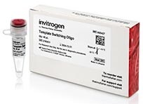 Product photo of Template Switching Oligo Photo of product package and one vial with red cap
