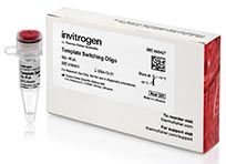 Product photo of Template Switching Oligo Photo of product package and one vial with red cap
