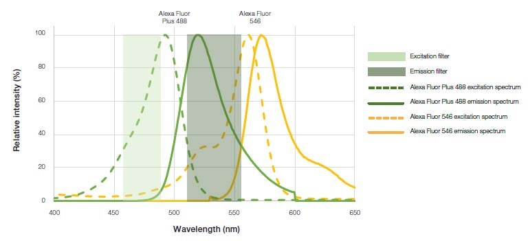 Example of multiplex experiment with carefully chosen fluorophores with distinct excitation spectra Example of multiplex experiment with carefully chosen fluorophores with distinct excitation spectra