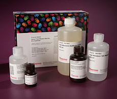 Specialty Western Blot Detection Kits and Probes Specialty Western Blot Detection Kits and Probes
