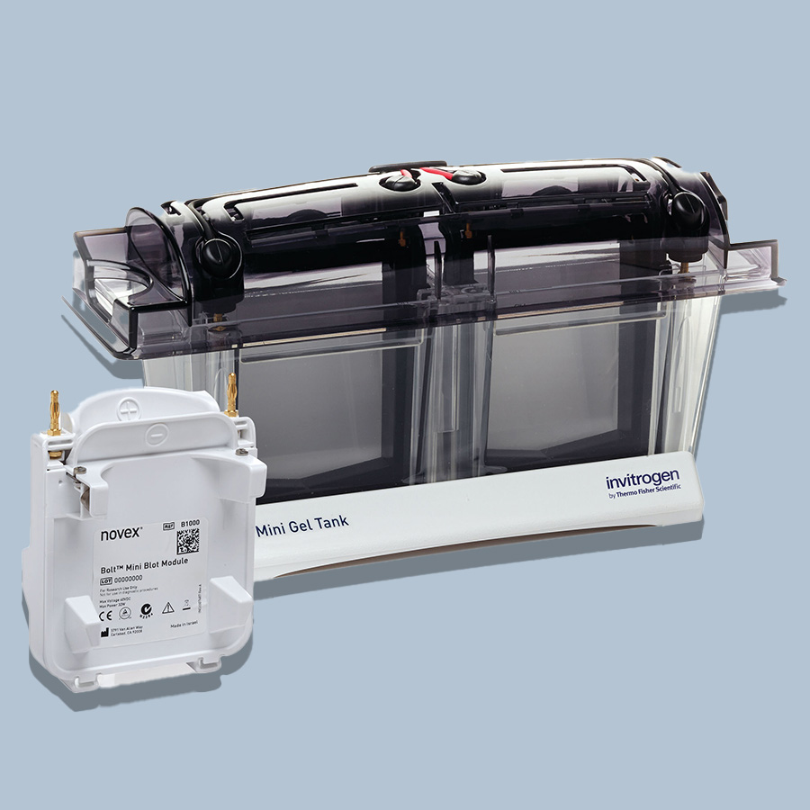 Mini Blot Module Decorative Image