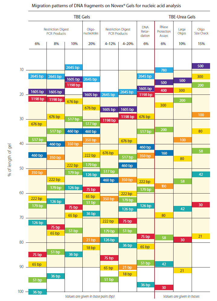 Gel migration chart Gel migration chart