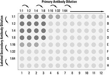 Example of a checkerboard titration experiment to optimize two ELISA parameters at once Example of a checkerboard titration experiment to optimize two ELISA parameters at once