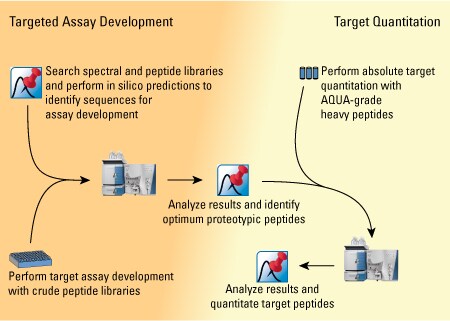 Targeted Assay Development-450px Targeted Assay Development-450px