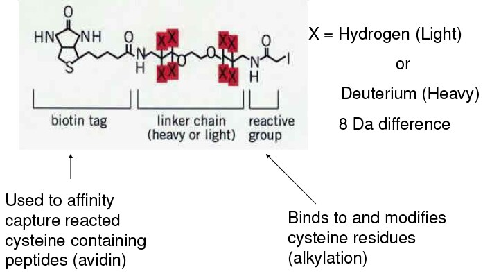 Exactive-proteomics-introduction-158 Exactive-proteomics-introduction-158