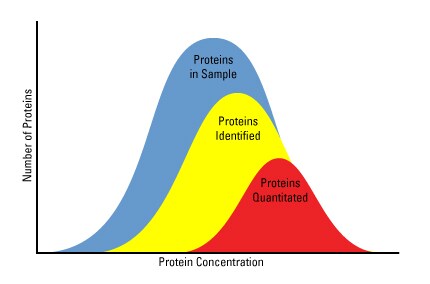 Peptide Availability for Quantitation-430px Peptide Availability for Quantitation-430px