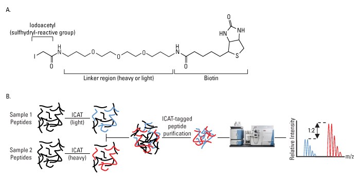 ICAT Labeling-700px ICAT Labeling-700px