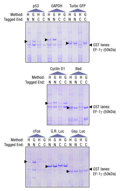 A13n09-Fig3 A13n09-Fig3