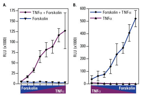 A12n01-Fig3-Luciferase A12n01-Fig3-Luciferase