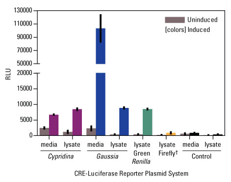 A12n05-Fig3 A12n05-Fig3