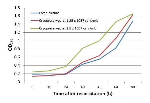 A better solution for long-term algae storage A better solution for long-term algae storage