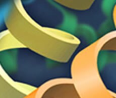 protein-cropped protein-cropped