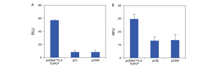 measured-expression-luciferase-fig3 measured-expression-luciferase-fig3